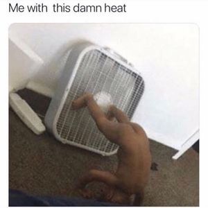 Meet your Posher, Bertha